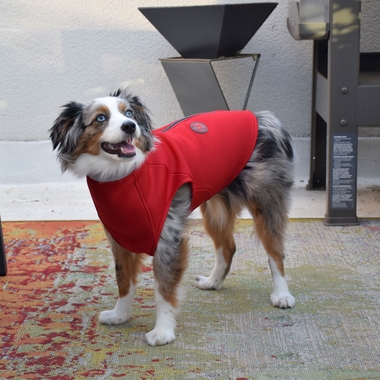 ZIPPY-DYNAMICS-FIERYVEST-12