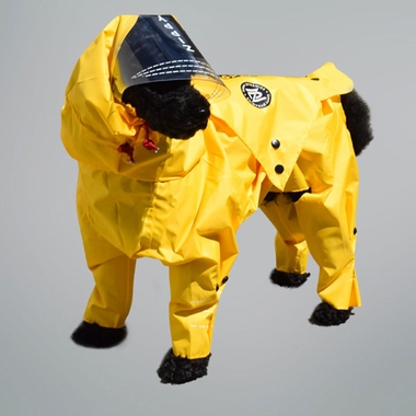 ZIPPY-DYNAMICS-RAINYRAINCOAT-11