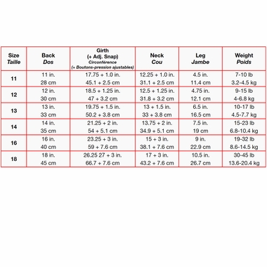 ZIPPY-DYNAMICS-RAINYRAINCOAT-11