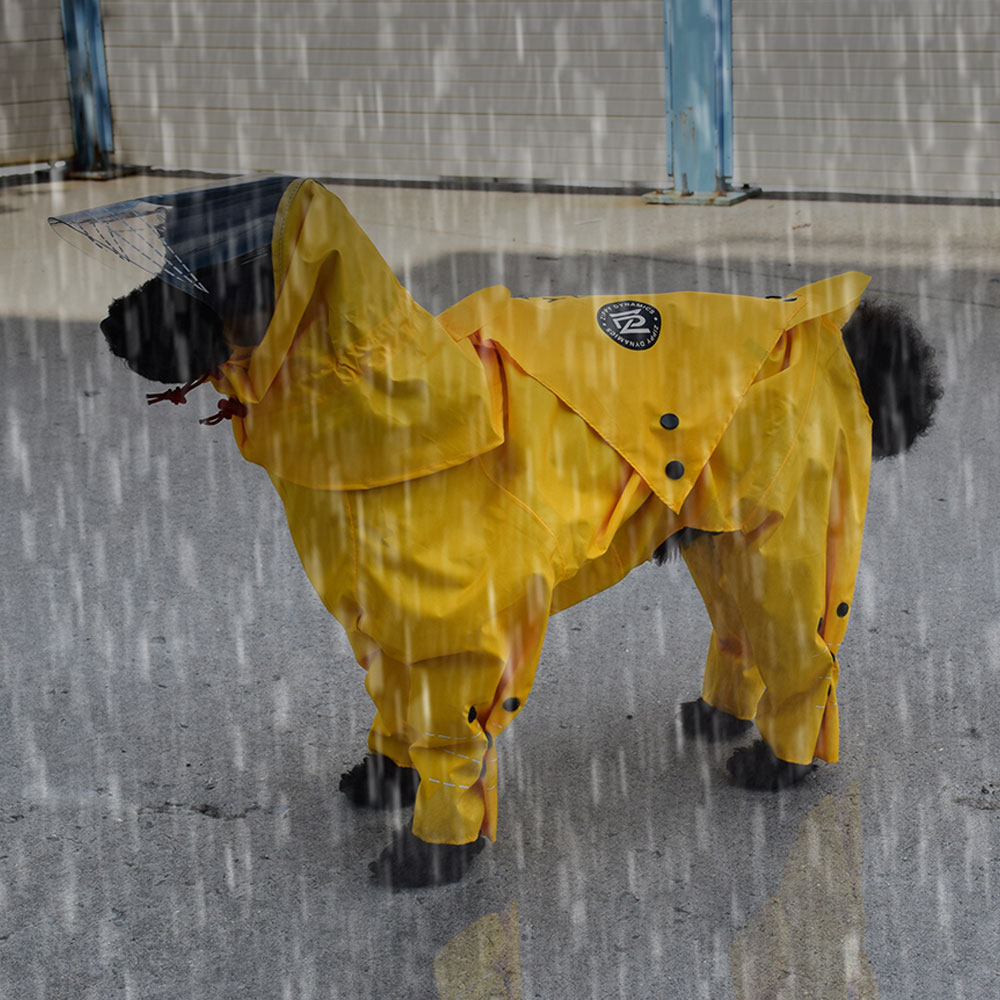ZIPPY-DYNAMICS-RAINYRAINCOAT-11