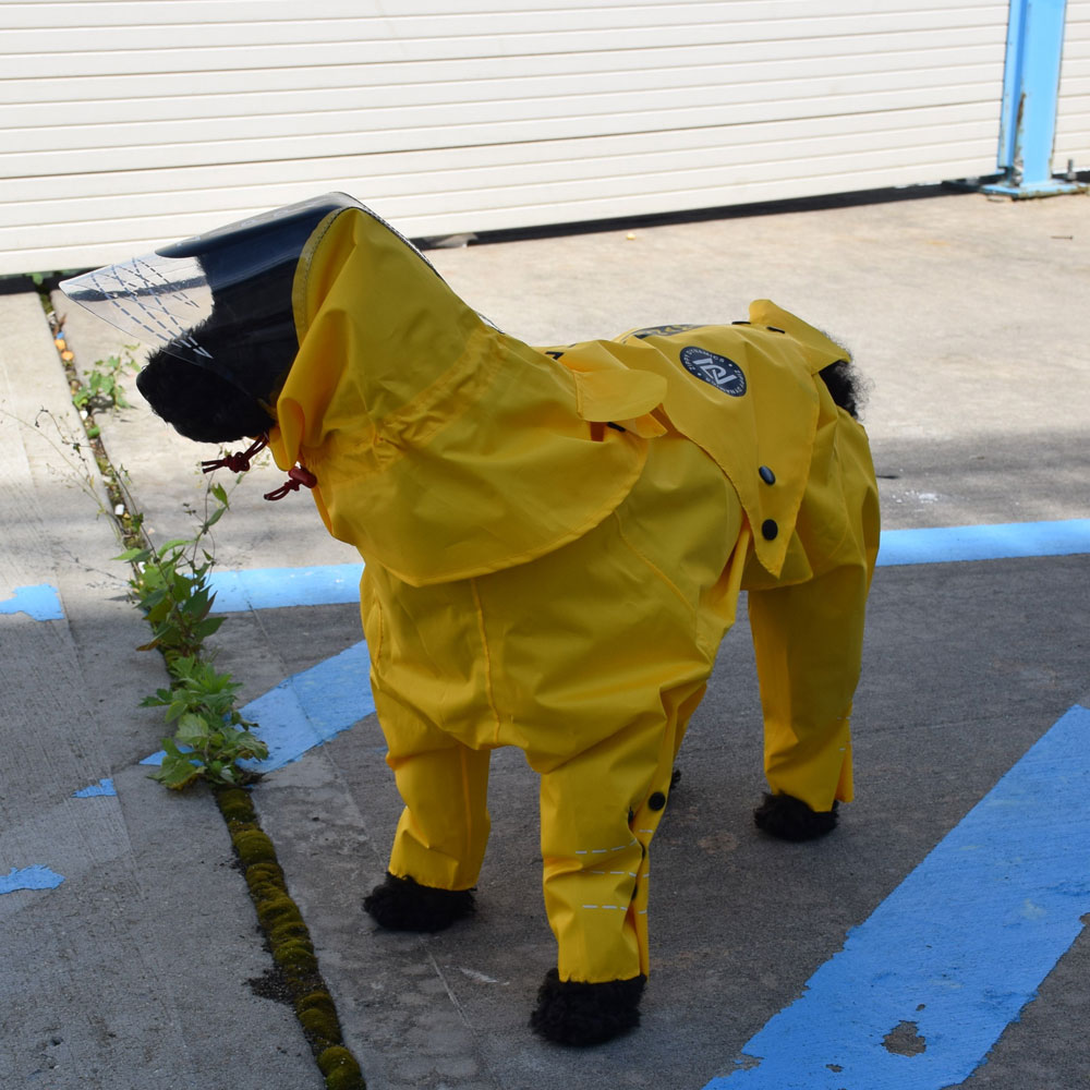 ZIPPY-DYNAMICS-RAINYRAINCOAT-12