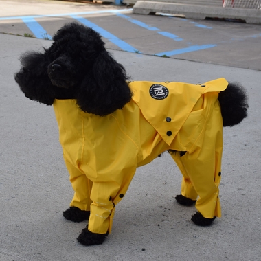 ZIPPY-DYNAMICS-RAINYRAINCOAT-12