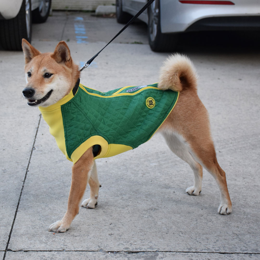 ZIPPY-DYNAMICS-SOFTYVEST-11