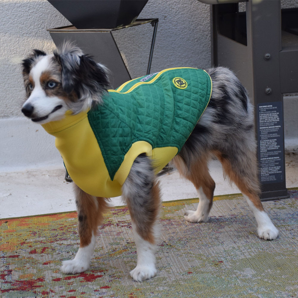 ZIPPY-DYNAMICS-SOFTYVEST-16