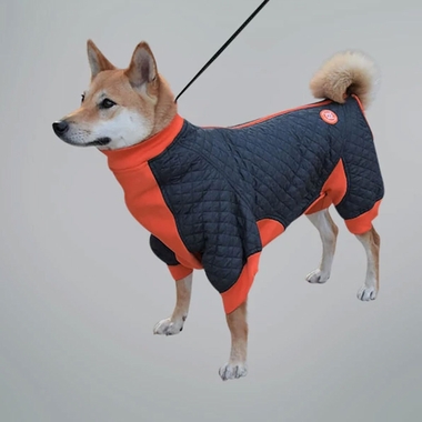 ZIPPY-DYNAMICS-SPRINGCOAT-18