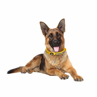 ZIPPY-DYNAMICS-ZIPPY-COLLAR-RED-16-INCHES