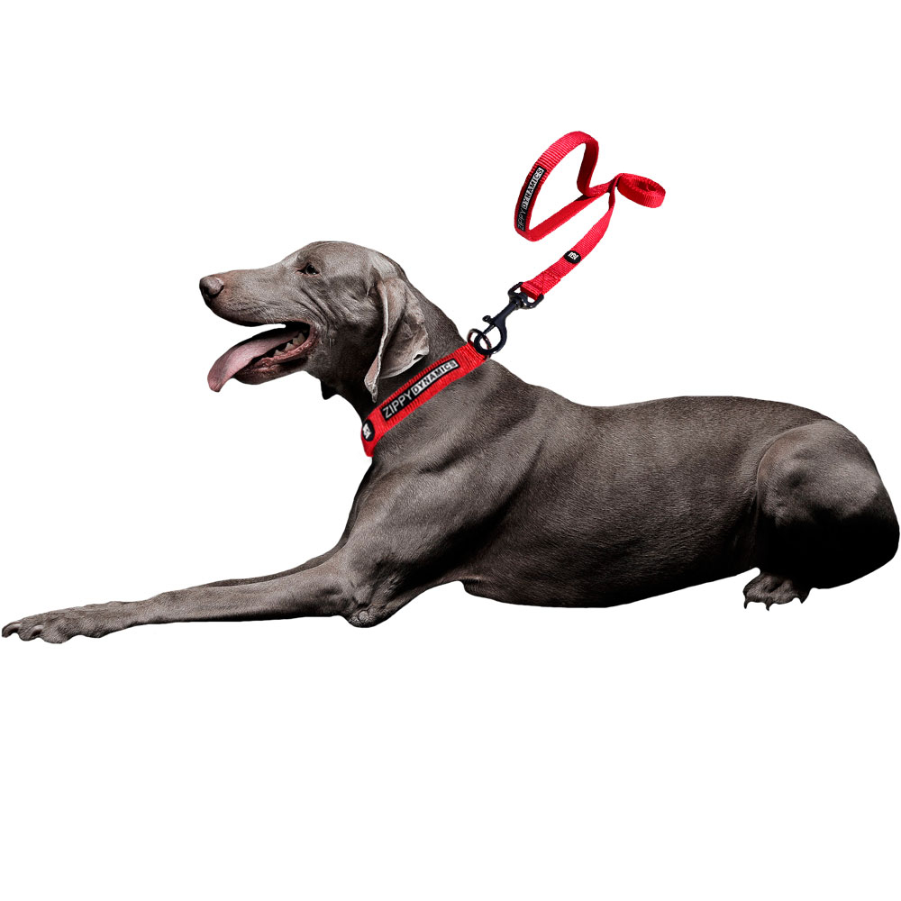 ZIPPY-DYNAMICS-ZIPPY-LEASH-BLACK-48-INCHES