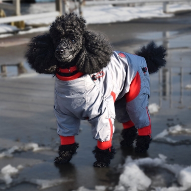 ZIPPY-DYNAMICS-ZIPPY-SHORT-LEG-12S