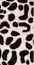 2-Piece Bath Rug Set in Chocolate / Ivory - Leopard - 26720