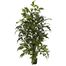 4.5' Fishtail Palm Silk Tree - Nearly Natural - 5330