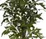 4.5' Fishtail Palm Silk Tree - Nearly Natural - 5330