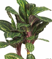 45" Maranta Silk Plant in Green - Nearly Natural - 6591-0308