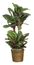 45" Maranta Silk Plant in Green - Nearly Natural - 6591-0308