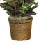 45" Maranta Silk Plant in Green - Nearly Natural - 6591-0308