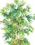 5' Bambusa Bamboo Silk Tree in Green - Nearly Natural - 5179