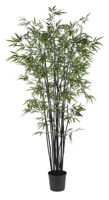 6.5' Black Bamboo Silk Tree in Green - Nearly Natural - 5277