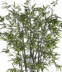 6.5' Black Bamboo Silk Tree in Green - Nearly Natural - 5277