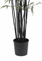 6.5' Black Bamboo Silk Tree in Green - Nearly Natural - 5277