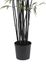 6.5' Black Bamboo Silk Tree in Green - Nearly Natural - 5277