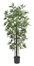 6' Bamboo Silk Tree in Green - Nearly Natural - 5294