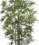 6' Bamboo Silk Tree in Green - Nearly Natural - 5294