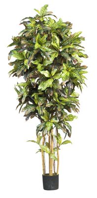 6' Croton Silk Tree in Green - Nearly Natural - 5211