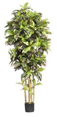 6' Croton Silk Tree in Green - Nearly Natural - 5211