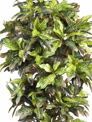 6' Croton Silk Tree in Green - Nearly Natural - 5211