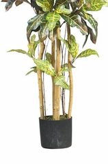 6' Croton Silk Tree in Green - Nearly Natural - 5211