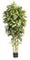 6' Croton Silk Tree in Green - Nearly Natural - 5211