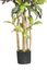 6' Croton Silk Tree in Green - Nearly Natural - 5211