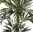 6' Kentia Silk Tree - Nearly Natural - 5341