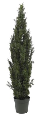 6' Mini Cedar Pine Tree in Green - Nearly Natural - 5292