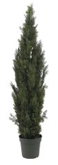 6' Mini Cedar Pine Tree in Green - Nearly Natural - 5292