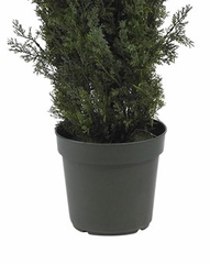 6' Mini Cedar Pine Tree in Green - Nearly Natural - 5292