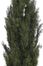 6' Mini Cedar Pine Tree in Green - Nearly Natural - 5292