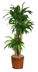 62" Dracena with Basket Silk Plant in Green - Nearly Natural - 6584-0508