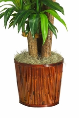62" Dracena with Basket Silk Plant in Green - Nearly Natural - 6584-0508