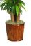 62" Dracena with Basket Silk Plant in Green - Nearly Natural - 6584-0508