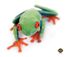 Allsop CleanScreen Cloth - Tree Frog Optical-Grade Microfiber