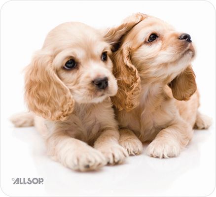 Allsop Naturesmart Puppies Mousepad