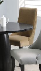 Amhurst Dining Chair (Set of 2) in Tan - Coaster - 101595-SET