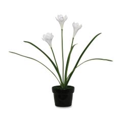 Artificial Flower - White Iris - BAU98041