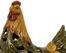 Bonaparte Hen - IMAX - 50189