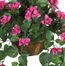 Bougainvillea Hanging Basket Silk Plant in Beauty - Nearly Natural - 6608