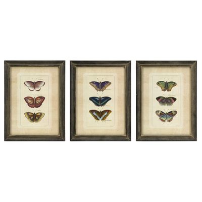Butterfly Collection Wall Art (Set of 3) - IMAX - 27304-3