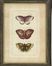 Butterfly Collection Wall Art (Set of 3) - IMAX - 27304-3