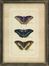 Butterfly Collection Wall Art (Set of 3) - IMAX - 27304-3