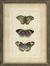 Butterfly Collection Wall Art (Set of 3) - IMAX - 27304-3