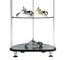 Celeste Curio - Bellini Modern Living - DM-3004